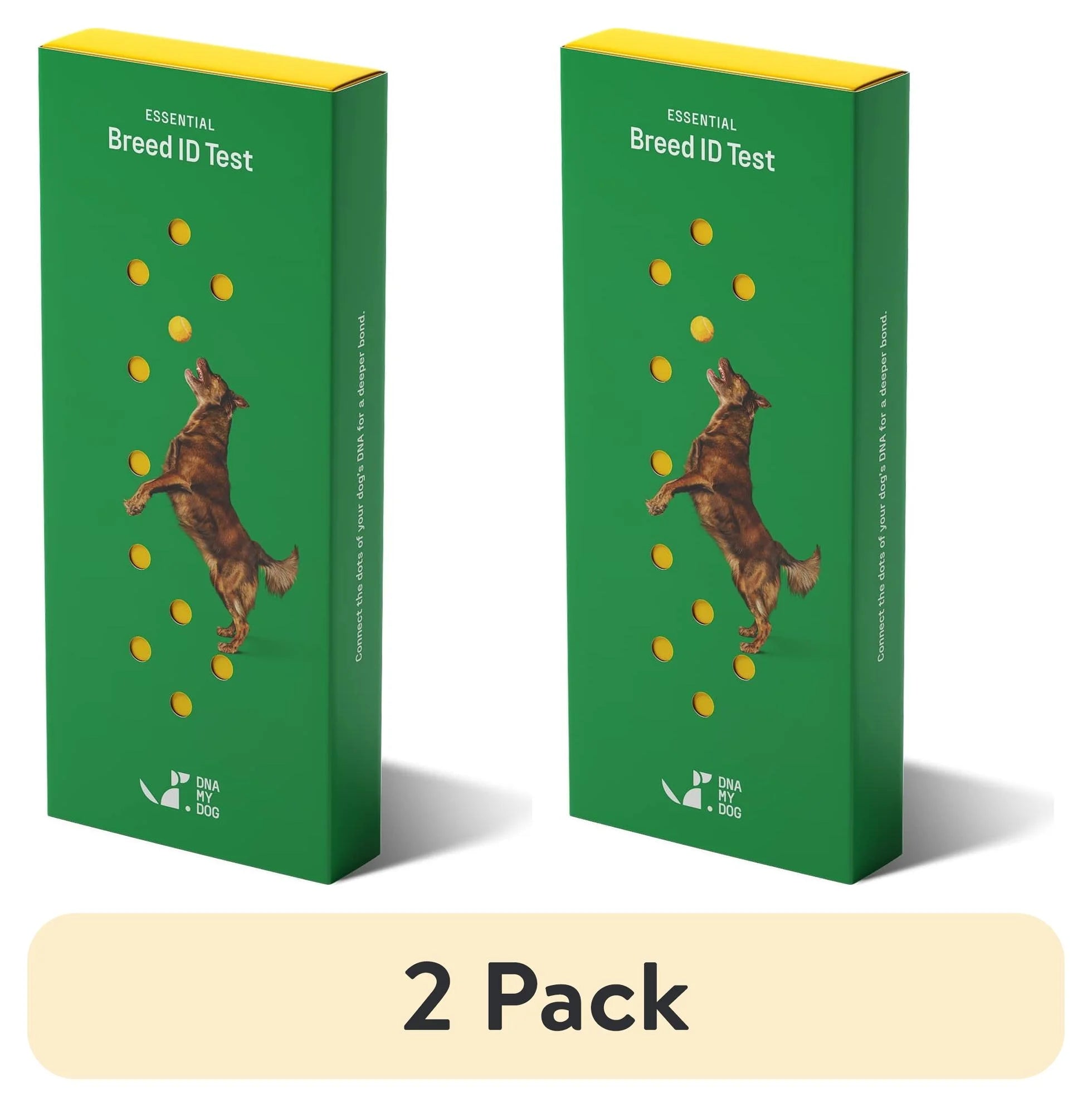 DNA My Dog Essential Breed ID Testing Kit